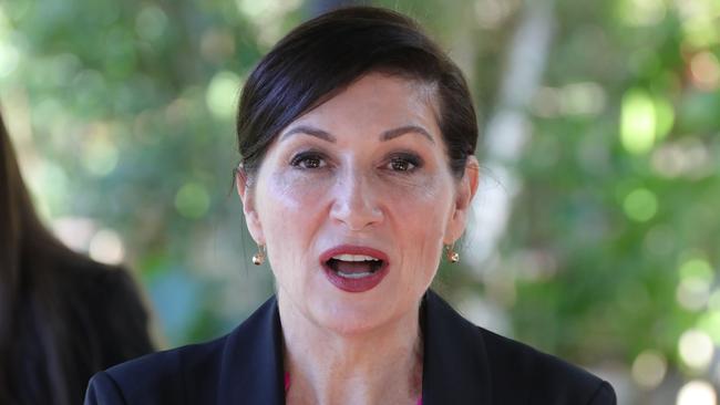 Environment Minister Leeanne Enoch. Picture Glenn Hampson