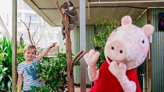 Meet Peppa Pig at Wild Life Sydney Zoo.