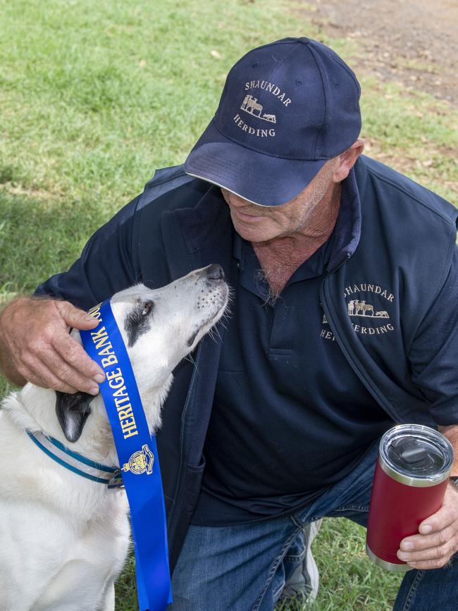 Dale Formosa with Shaundar Lately after they won the Open 3 sheep trial on day 3 of the Toowoomba Royal Show. Sunday, March 27, 2022. Picture: Nev Madsen.