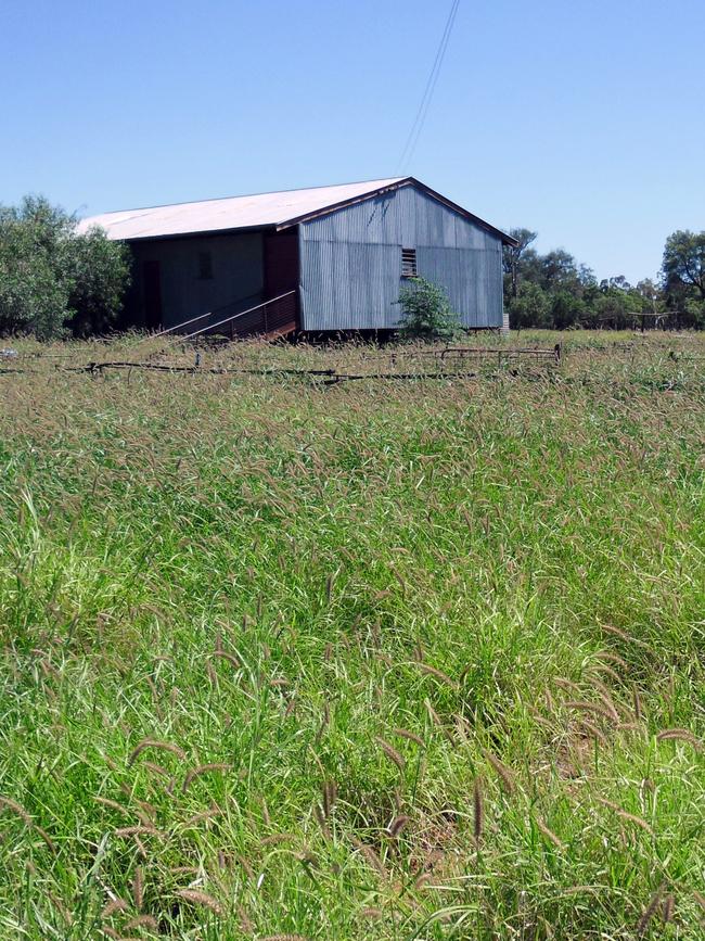 Before the drought, his property, near Walgett, was full of green grass. This is some of his land in 2011. Picture: Sam Ruttyn