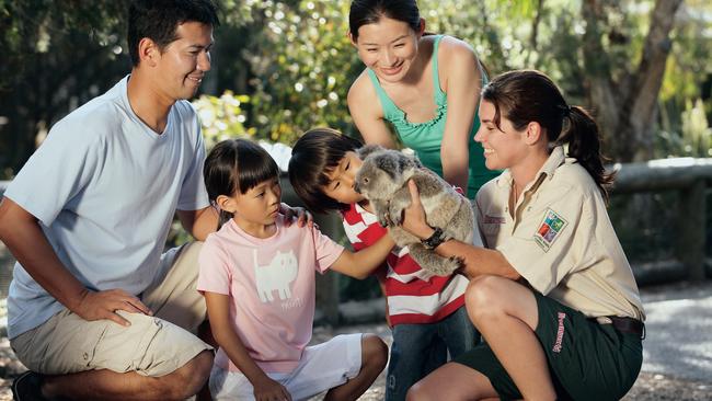 Japanese tourists spent almost half a billion dollars in Queensland last financial year.