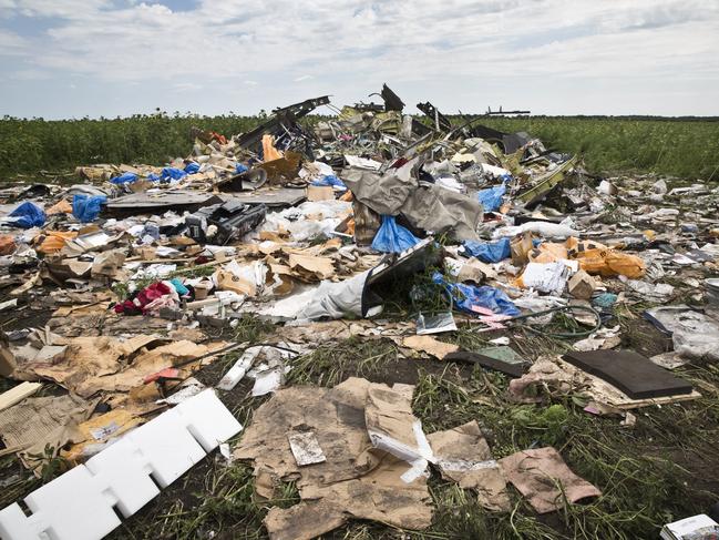 The crash site in Rozsypne, Eastern Ukraine. Picture: Ella Pellegrini