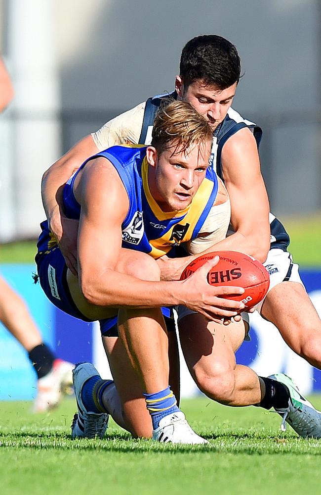 Josh Newman in the Williamstown jumper in 2017.