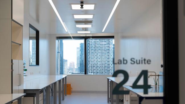 Lab spaces in the Jumar Bioincubator at CSL's Melbourne's headquarters.