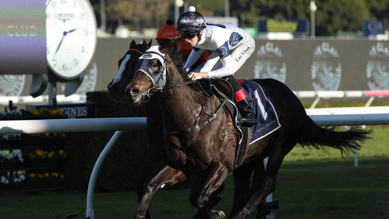 Big bets for Boxing Day horse racing at Caulfield, Randwick + more