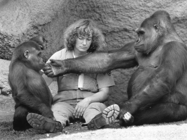 Keeper Ulli Weiher with Mzuri and his mother Yuska in 1986.