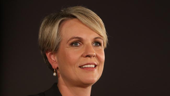 Tanya Plibersek in Blacktown, Sydney, yesterday. Picture: Kym Smith