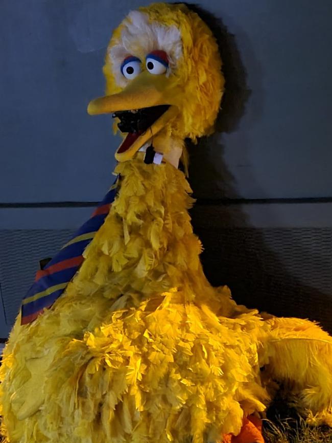 Big Bird was returned to the circus site and found propped up against an electricity box. Picture: SA Police