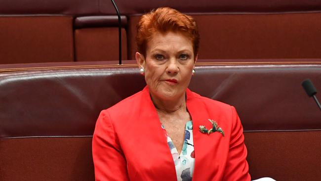 Senator Pauline Hanson. Picture: Getty Images