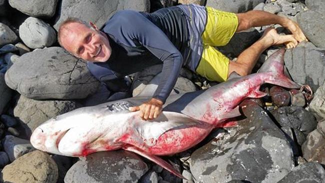 Surfer Matthew Lee snapped this photo at Lennox Point with the shark he instinctively grabbed to protect himself. Picture: Northern Star