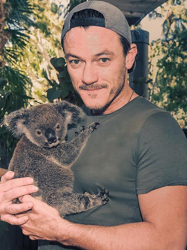 Luke Evans poses with a koala at Hamilton Island Wildlife Park. Picture: Instagram