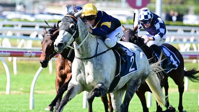 Luncies is chasing victory in the Newcastle Cup. Picture: Grant Peters - Trackside Photography