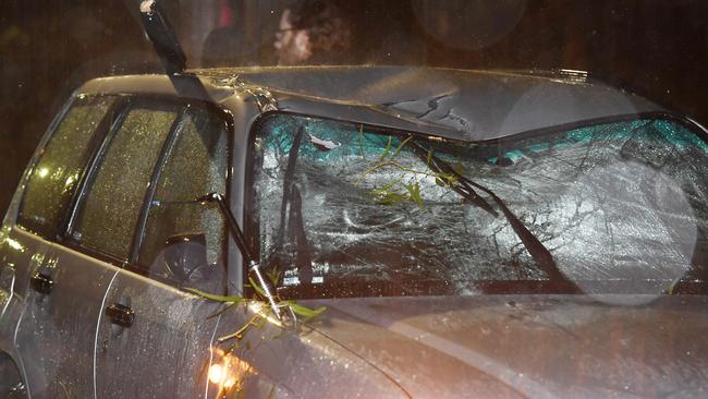 A large tree limb fell onto a car at Warrawee / Picture: Gordon McComiskie