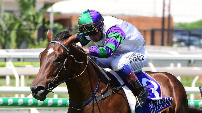 Alpine Edge is one of the favourites to take out the Magic Millions Classic. Picture: Trackside Photography