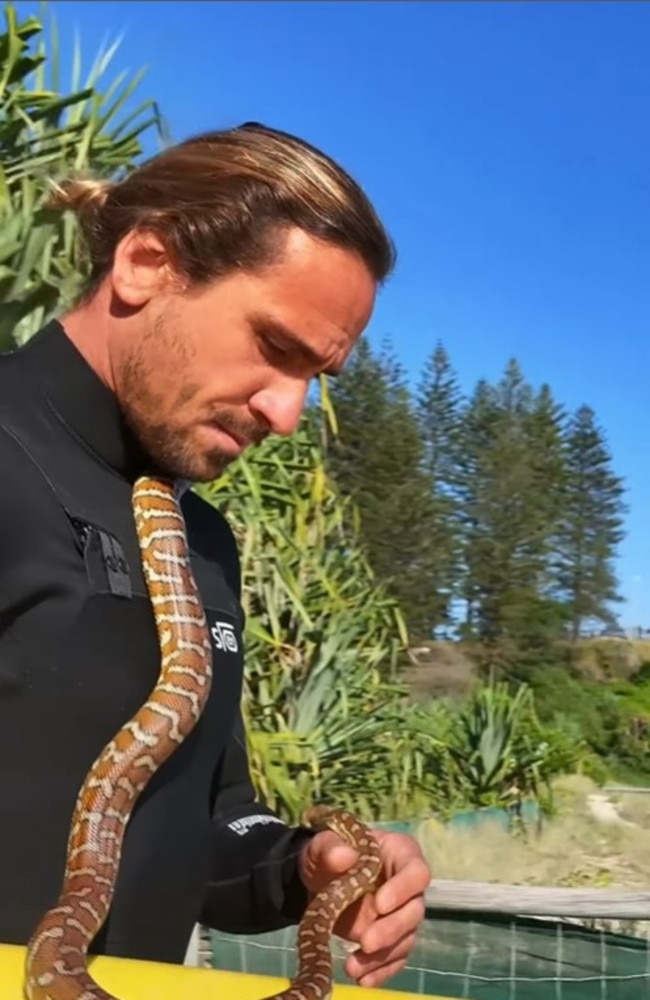 Surfer Higor Fiuza went viral after footage of him and his pet carpet python surfing at Rainbow Bay, near Snapper Rocks, was shared online. Picture: Instagram/ @skymonkey5