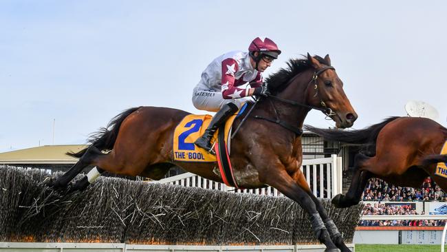 Bit of a Lad is being set for another Grandd Annual tilt. Picture: Natasha Morello-Racing Photos via Getty Images