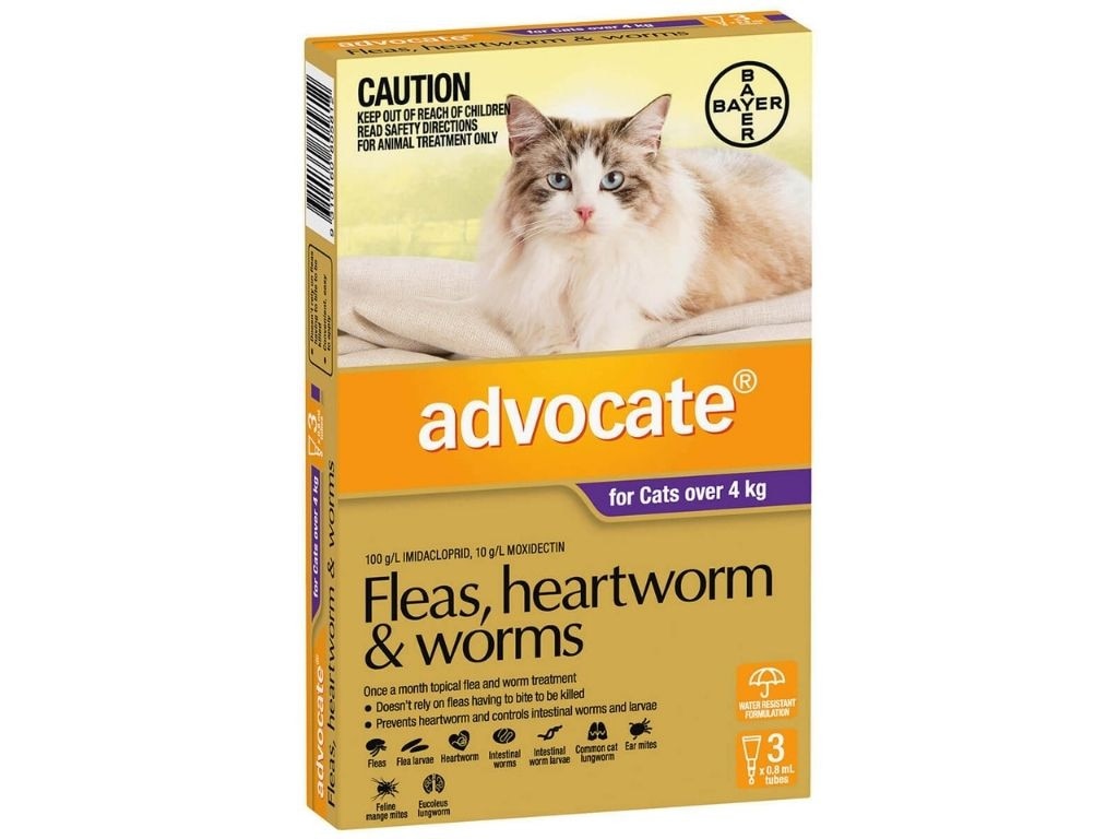 Protect your kitty from fleas, heartworm and worms.