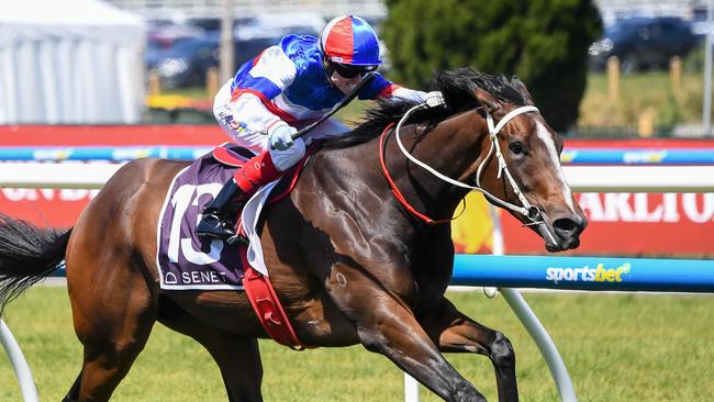 Aviatress winning the Northwood Plume Stakes at Caulfield last year. Picture: Racing Photos via Getty Images