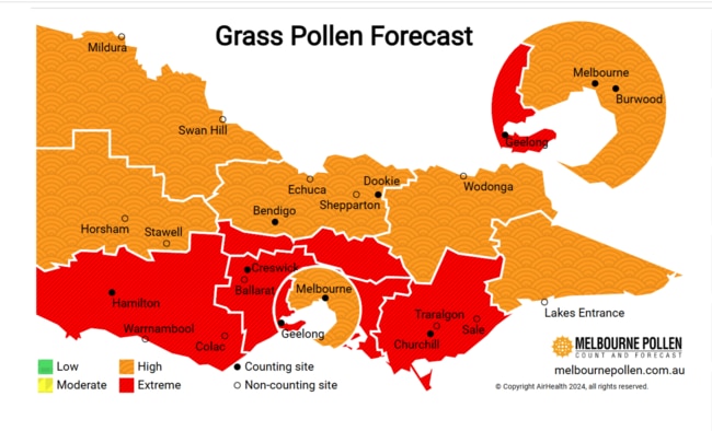 Victoria's Grass Pollen Forecast results for Thursday, November 21 2024. Picture: Melbourne Pollen Count and Forecast