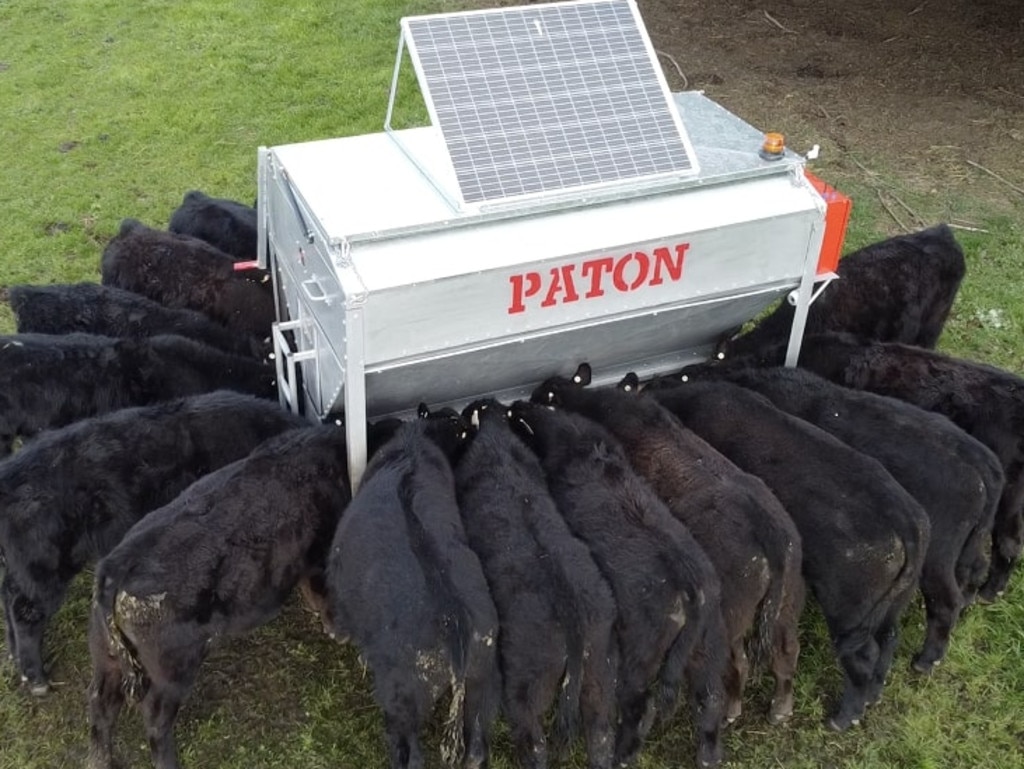 Automatic on sale cattle feeder