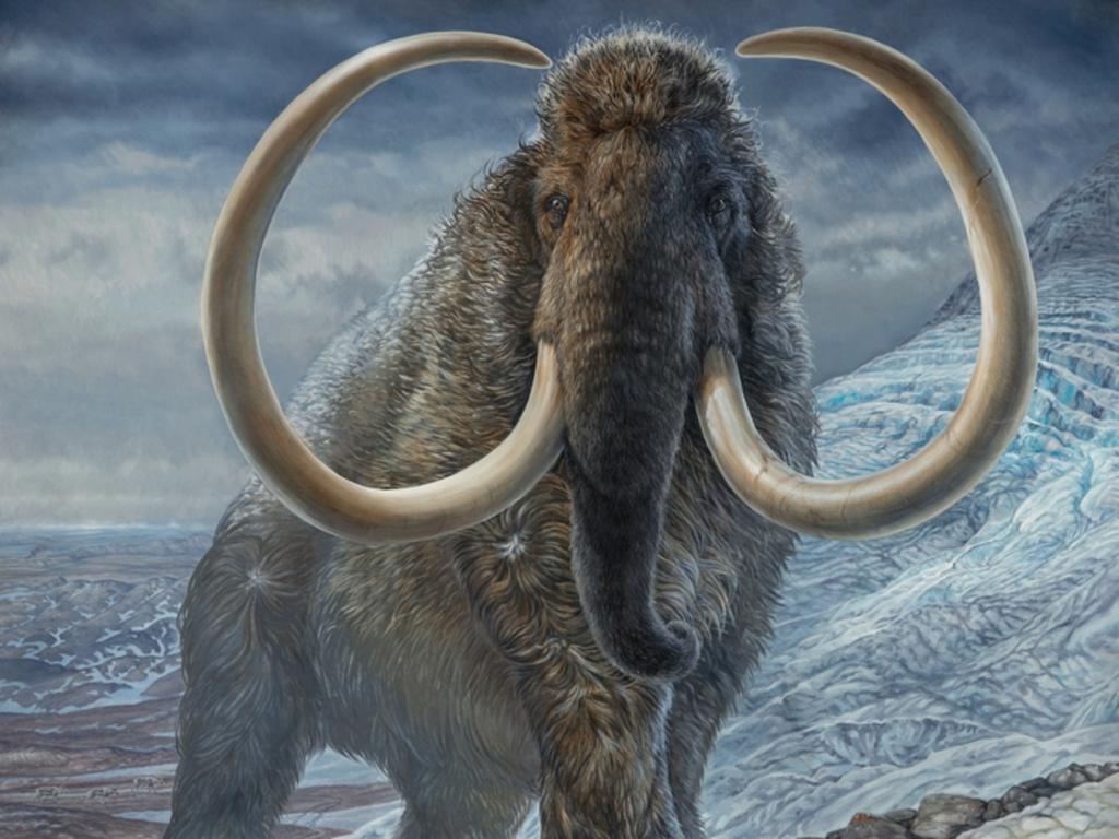 Woolly mammoth resurrection ambitious first step to ‘heal Earth’ The
