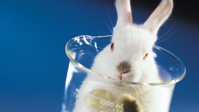 Cosmetics tested on animals to be banned in Australia | Herald Sun
