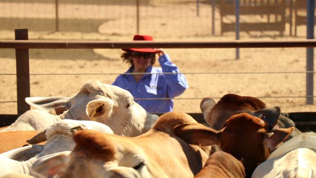 Gina Rinehart at her Helen Springs, Northern Territory, cattle station.