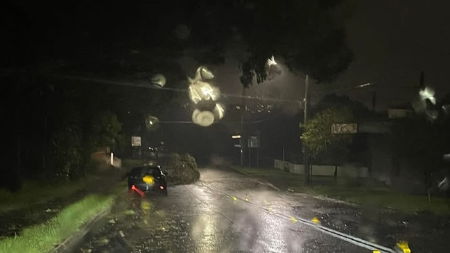 A fallen tree in Oatley West, in Sydney’s south. Picture: Supplied