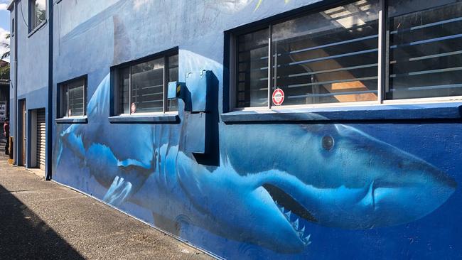 The eye-catching great white shark mural on the Sneaky Fisho tackle shop on Pittwater Rd, Brookvale. The mural is still there, but the shop has closed down and the business has gone into liquidation. Picture: Jim O'Rourke