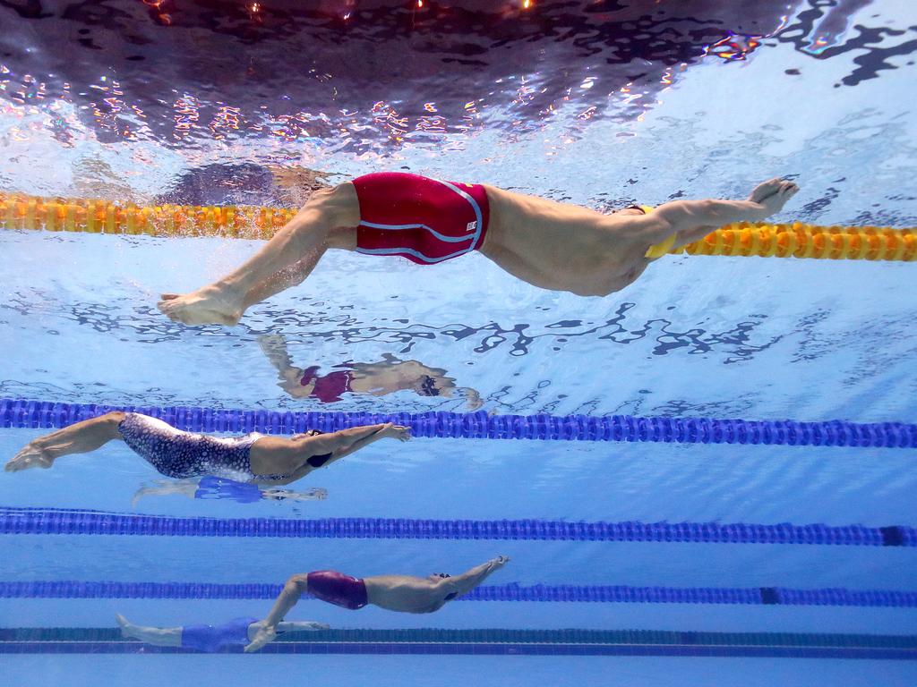 Mitch Larkin was heroic. Picture: Catherine Ivill/Getty Images