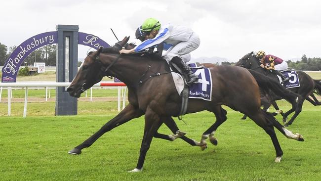 Hellbent On You can score a second win for the campaign when she steps out at Randwick-Kensington. Picture: Bradley Photos