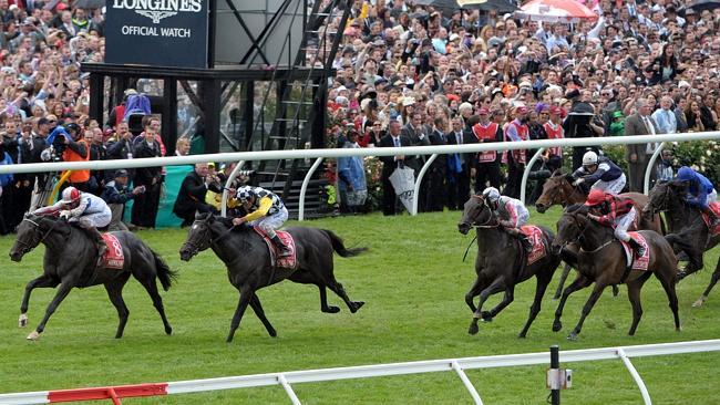 Maluckyday (third from left) winds up behind Americain and So You Think to run second in the 2010 Melbourne Cup.