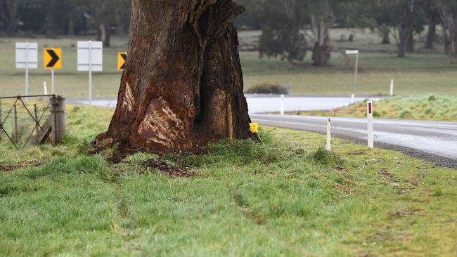 The tree which Danny Frawley’s car struck in Millbrook, northwest of Melbourne on Monday. Picture: AAP Image/Julian Smith