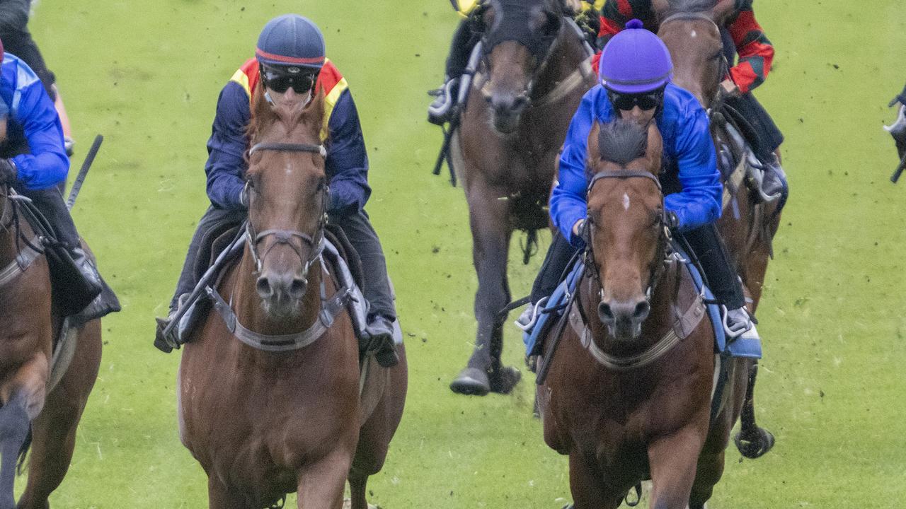 Rosehill Barrier Trials