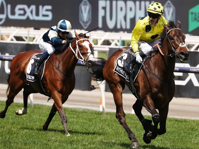 MELBOURNE , AUSTRALIA. November 7, 2023.  Melbourne Cup races at Flemington Racecourse, Melbourne.  Race 7. The Melbourne Cup.   Without A Fight ridden by Mark Zahra leaves  2nd placed Soulcombe in his wake as he heads for the finish line in the Melbourne Cup     . Pic: Michael Klein