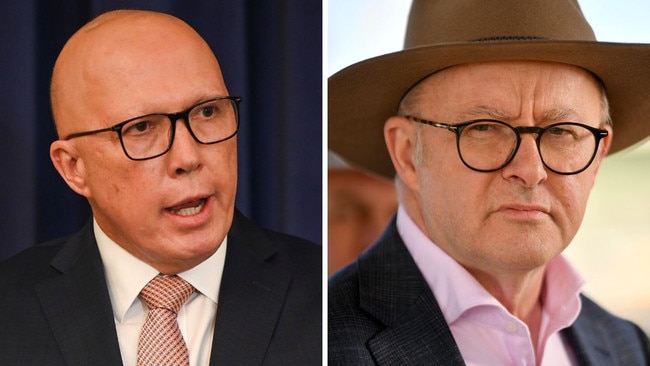 Only 28 per cent of voters nominated Peter Dutton and Anthony Albanese as their preferred leaders of their respective parties.