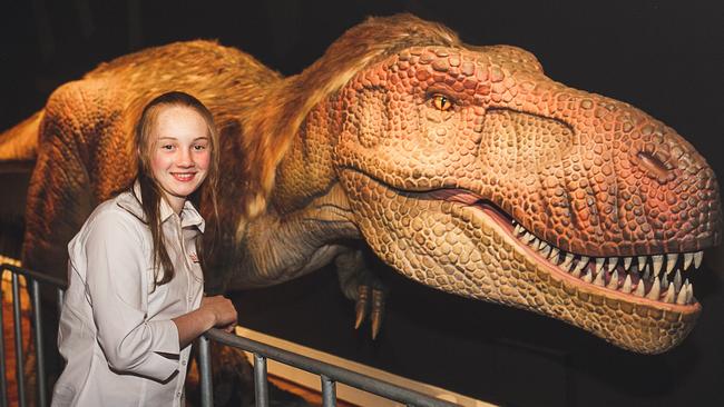                         <i>Dinosaur rEvolution: Secrets of Survival </i>at the Tasmanian Museum and Art Gallery. Picture: SUPPLIED