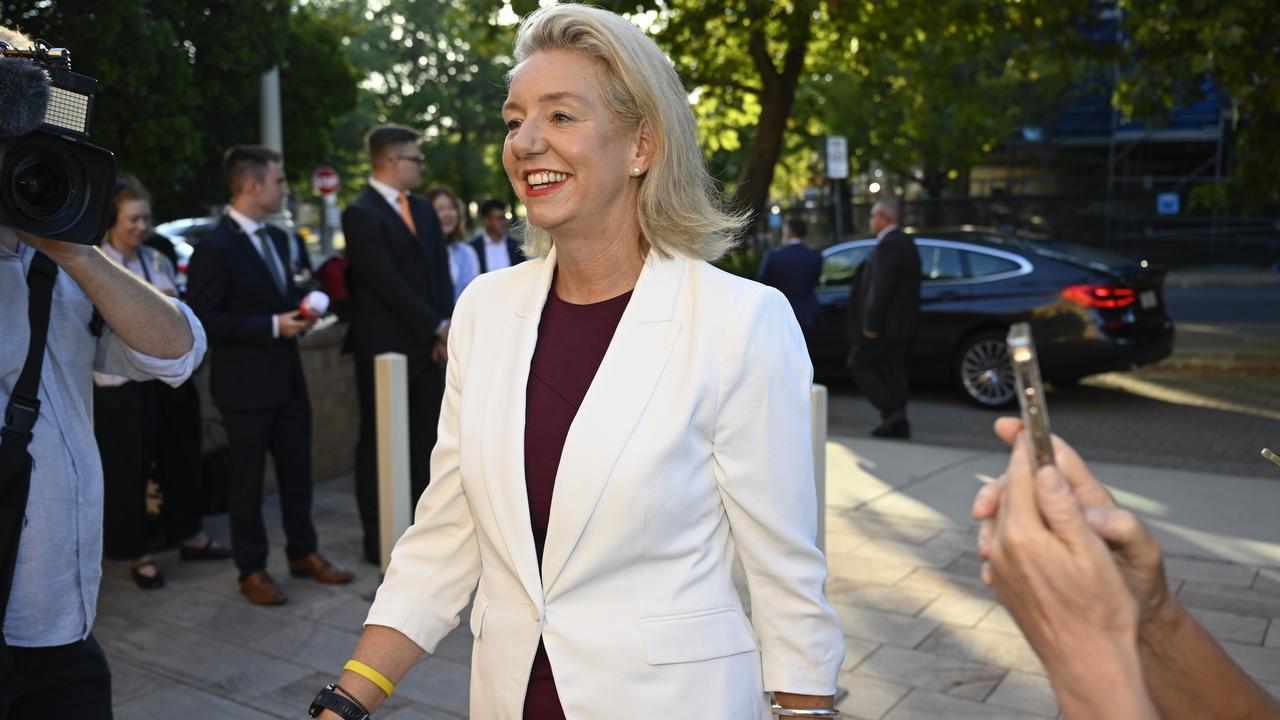 Senator Bridget McKenzie in Canberra. Picture: NewsWire / Martin Ollman