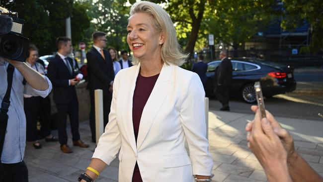 Senator Bridget McKenzie in Canberra. Picture: NewsWire / Martin Ollman