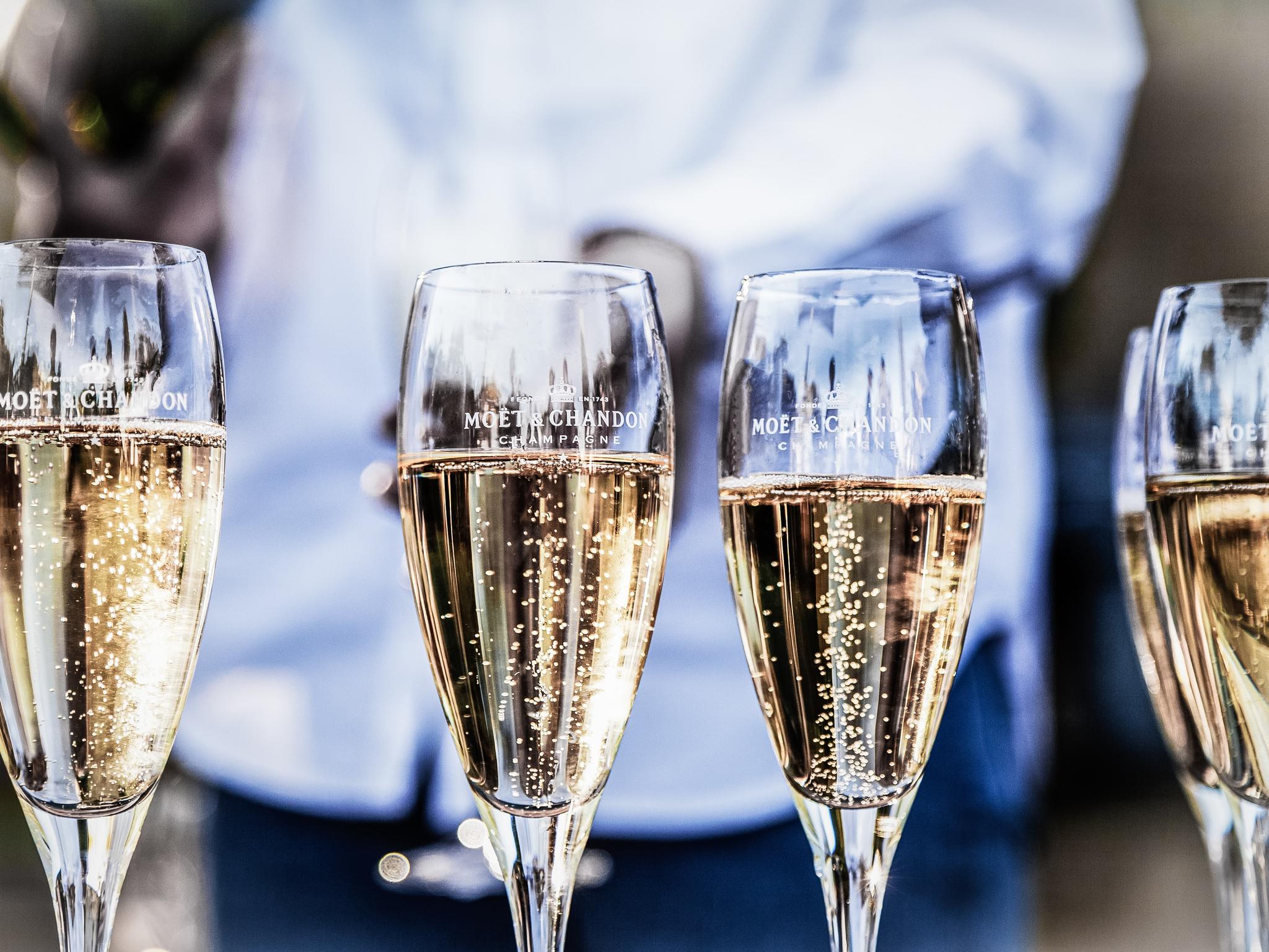 The best champagne clearance glasses