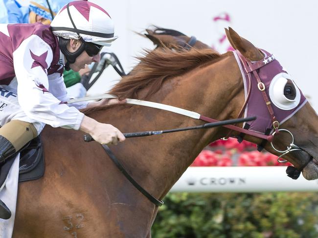 Stratum Star wins the $1 million Kingston Town Classic Picture Simon Merritt Western Racing Pix *** ALERT : PICS ARE $75 PERFRAME / ONE TIME USE ONLY / MUST CREDIT ***