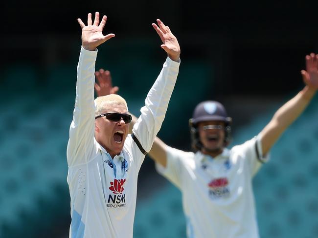 Adam Zampa made a rare appearance for NSW earlier this summer. Picture: Getty