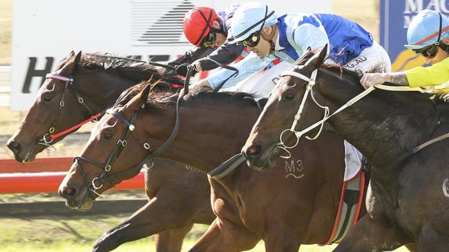 Mazita (centre) scotred his maiden win at Muswellbrook in May and returns for his first-up run on Sunday. Picture: Bradley Photos