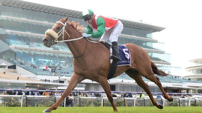 Craig will run in the Toorak Handicap with Craig Williams aboard on his way to a possible crack at the $10m Golden Eagle in Sydney. Picture: Racing Photos via Getty Images