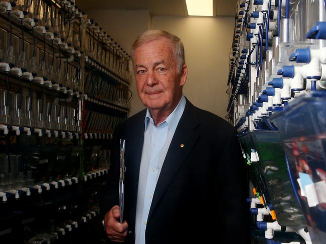 Researcher Bob Graham pictured with tanks of Zebrafish at the Victor Chang Cardiac Research Institute in Sydney, Thursday 8 April 2021.  Picture: Nikki Short