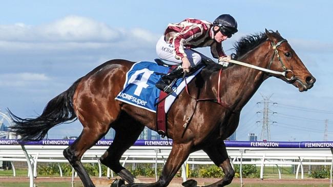 Parsifal will join Behemoth in an exhibition gallop between races at Morphettville. Picture: Getty Images