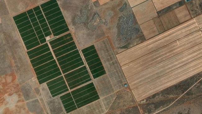 Mooral almond orchard in the NSW Riverina. Picture: NRAR