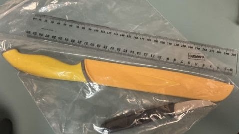 Knives allegedly seized from the taxi by Queensland Police. Picture: Supplied