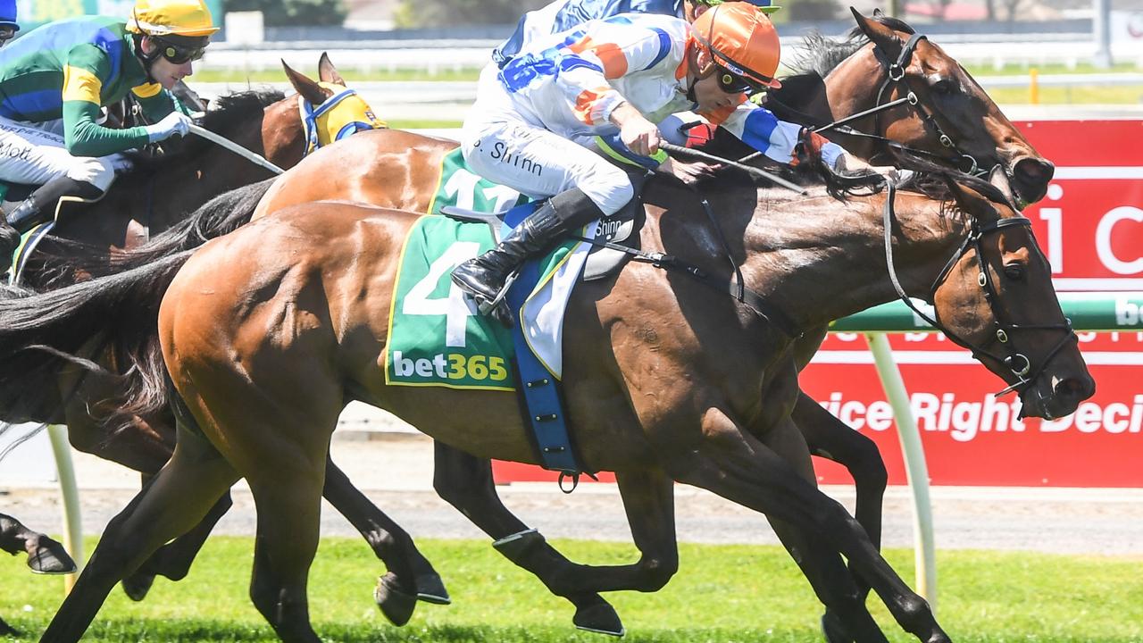 Geelong Cup All results from the day of racing Herald Sun