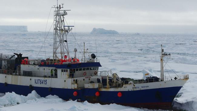 In this image provided by the U.S. Coast Guard the Austrailian fishing vessel the Antarctic Chieftain is seen from the the Coast Guard Cutter Polar Star as the cutter begins breaking up the ice around the vessel Friday Feb. 13, 2015. Rescuers on Saturday reached a fishing boat with 26 people aboard trapped in ice near Antarctica and plan to use an unmanned underwater vehicle to assess the damage to it. The U.S. Coast Guard icebreaker Polar Star traveled several hundred nautical miles through heavy ice to reach the Antarctic Chieftan. (AP Photo/U.S. Coast Guard, Lt. j.g. Gina Caylor)